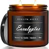 MOASITN Eucalyptus Large Heavenly Scented Candles for Home|19oz 100h Long Lasting Clean Burn|Natural Soy Aromatherapy Candle|2 Wick Jar Candle for Women,Men as Relaxing,Birthday,Housewarming Gifts