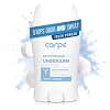 Carpe Underarm Antiperspirant and Deodorant, Fresh Powder Scent