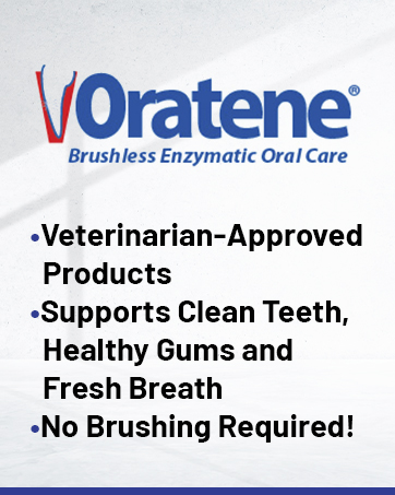 oral care for dogs
