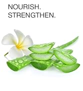 aloe vera shampoo and conditioner