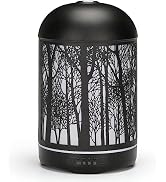 Essential Oil Aromatherapy Diffuser for Home Bedroom Office Metal Hollow Decorative Room Ultrason...