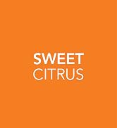 Jergens Citrus Body Butter