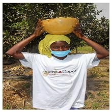 AFRICAN SHEA BUTTER IMPORTED FROM GHANA