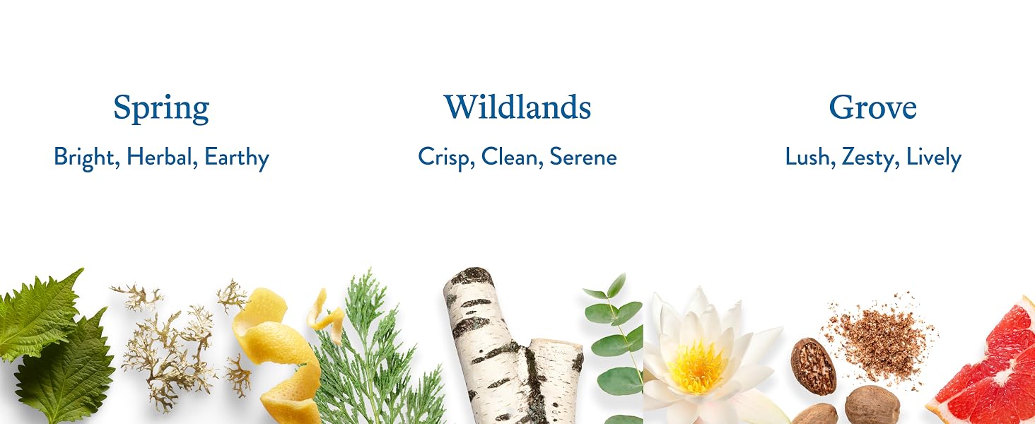 Spring, Wildlands, and Grove body wash scents