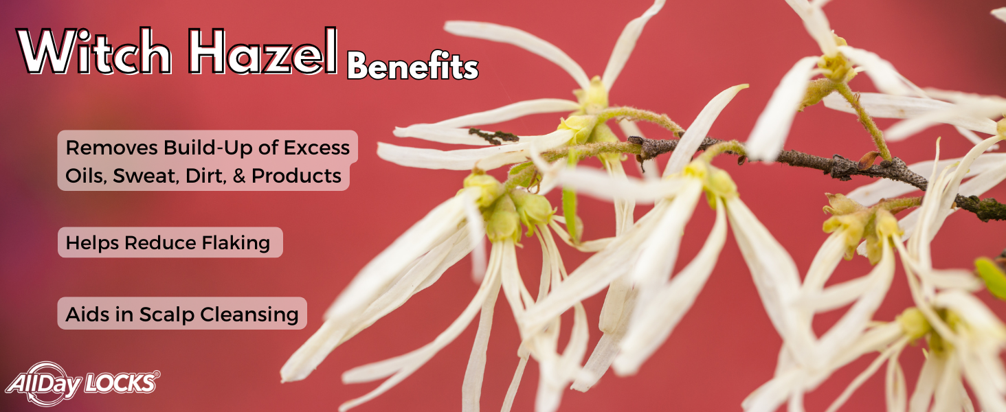 witch hazel benefits
