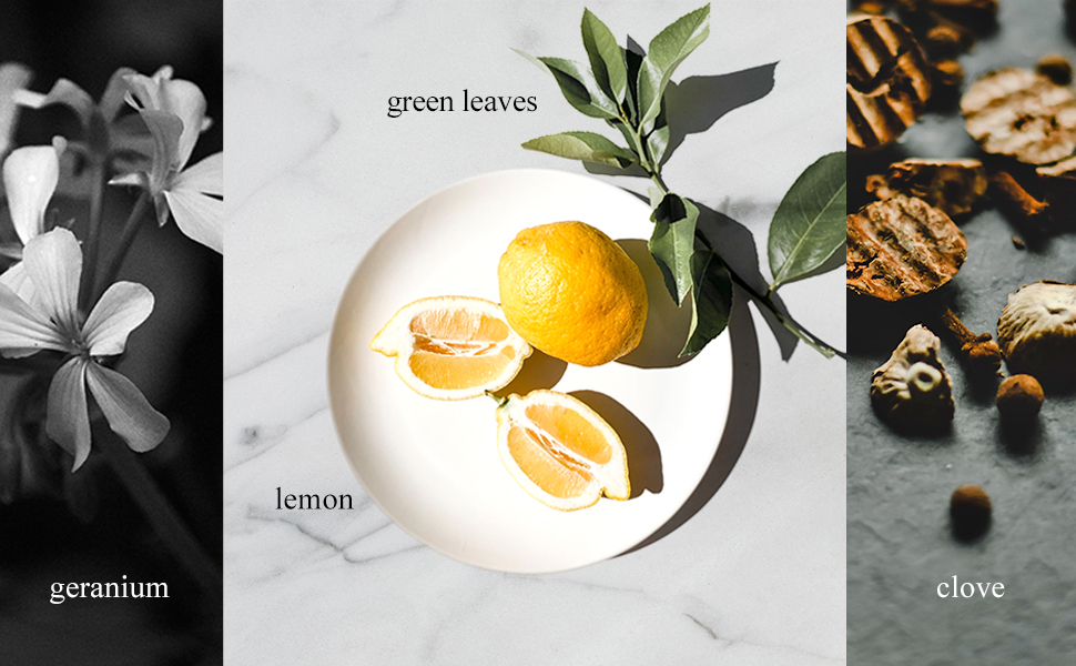 London Collection Fragrance - green leaves, lemon, clove, and geranium