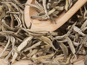 Key Note: White Tea