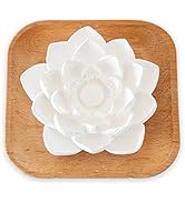 Plant Therapy Passive Lotus Flower Aromatherapy Diffuser - A Chic and Natural Home, Office, and T...