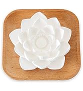 Plant Therapy Passive Lotus Flower Aromatherapy Diffuser - A Chic and Natural Home, Office, and T...