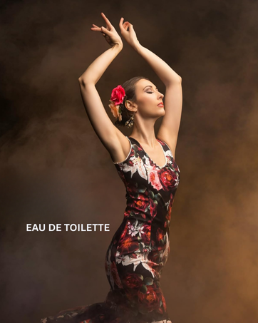 Aire de Sevilla Brand Story