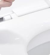bidet