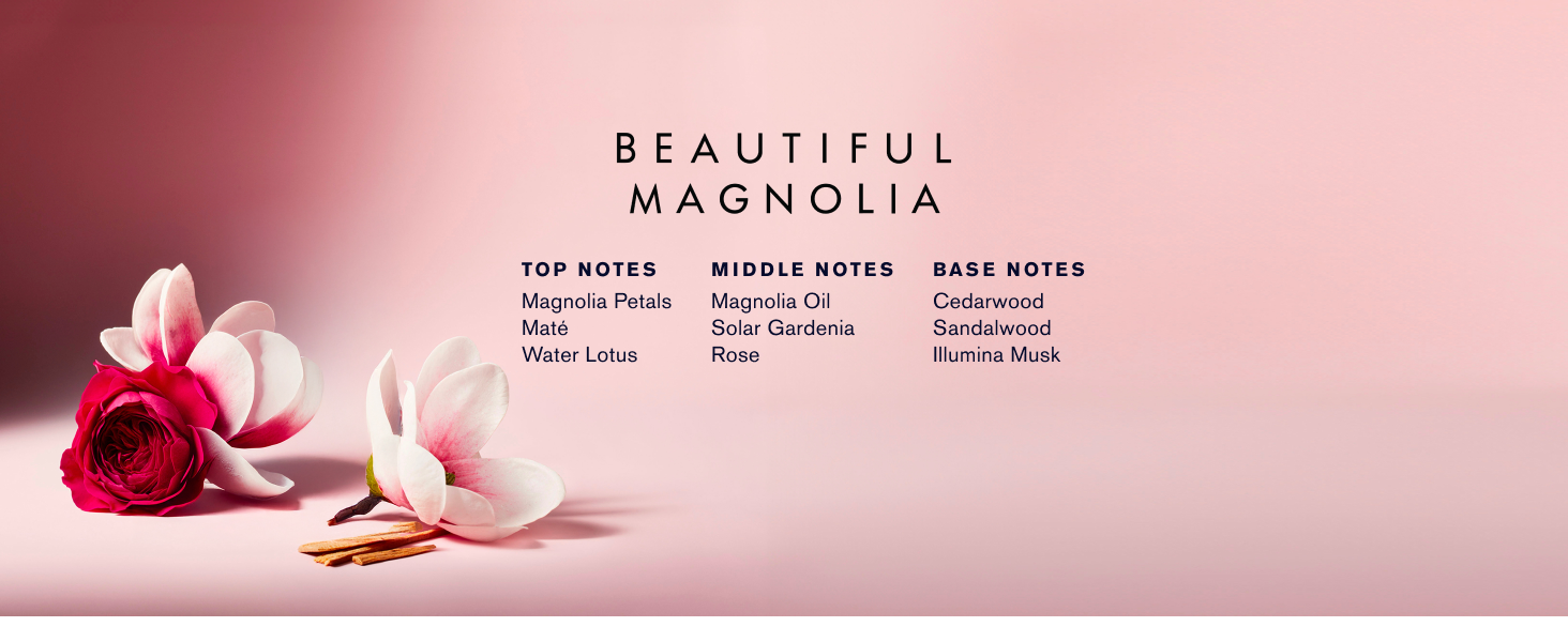 Beautiful Magnolia