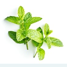 Vegan Formula Ingredients