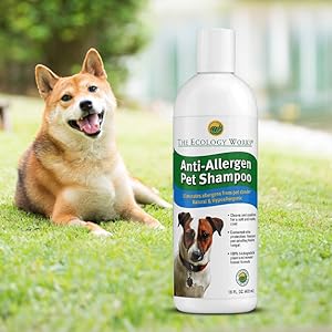 concentrate termites reducer eliminar yard heat machines garden mini busters use animal tick