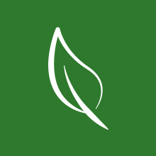Leaf logo