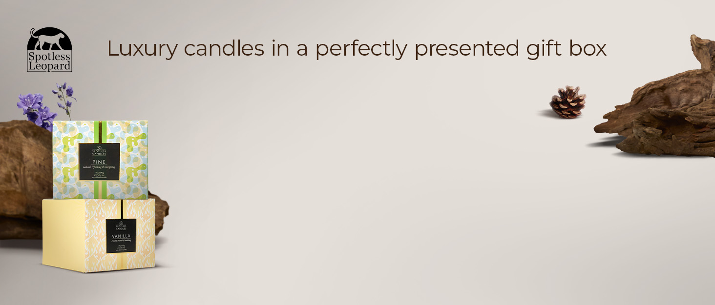 Luxury pine and vanilla candles presented in beautiful boxes on a plain background.