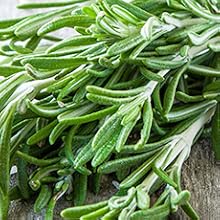Rosemary Benefits