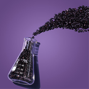 Black rice coming out of glass flask on purple background. 