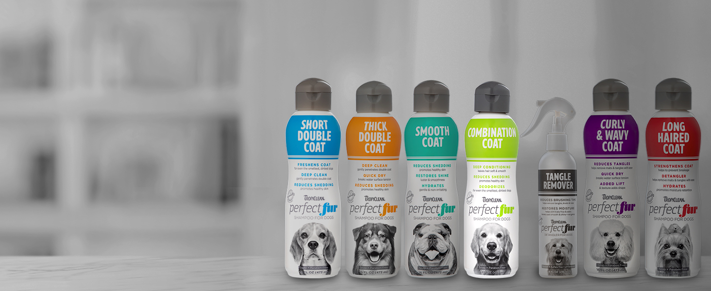 dog shampoo shedding control best dog shampoo for smell anti shed shampoo dog shedding shampoo