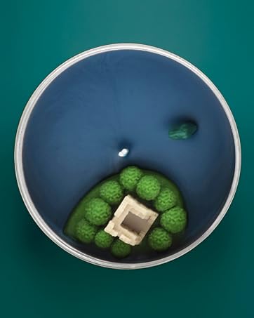 Loch Ness Monster Scented Candle with wax embed Nessie on the surface and Castle Urquhart