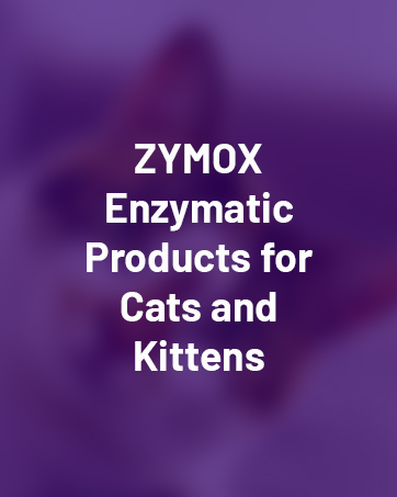 ear treatment for cats