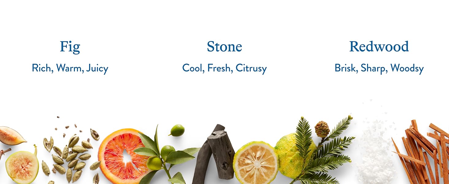 Fig, Stone, Redwood body wash scents