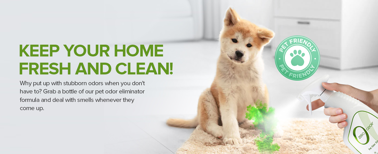 Odor Eliminator