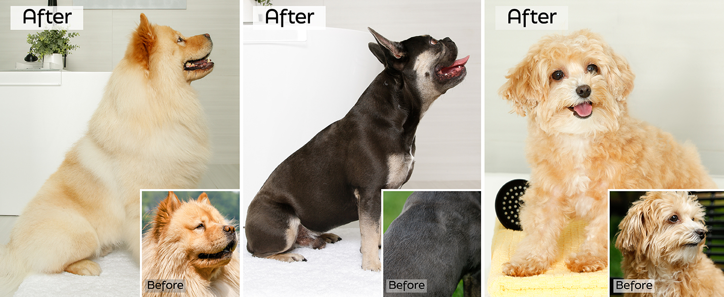 Before & After