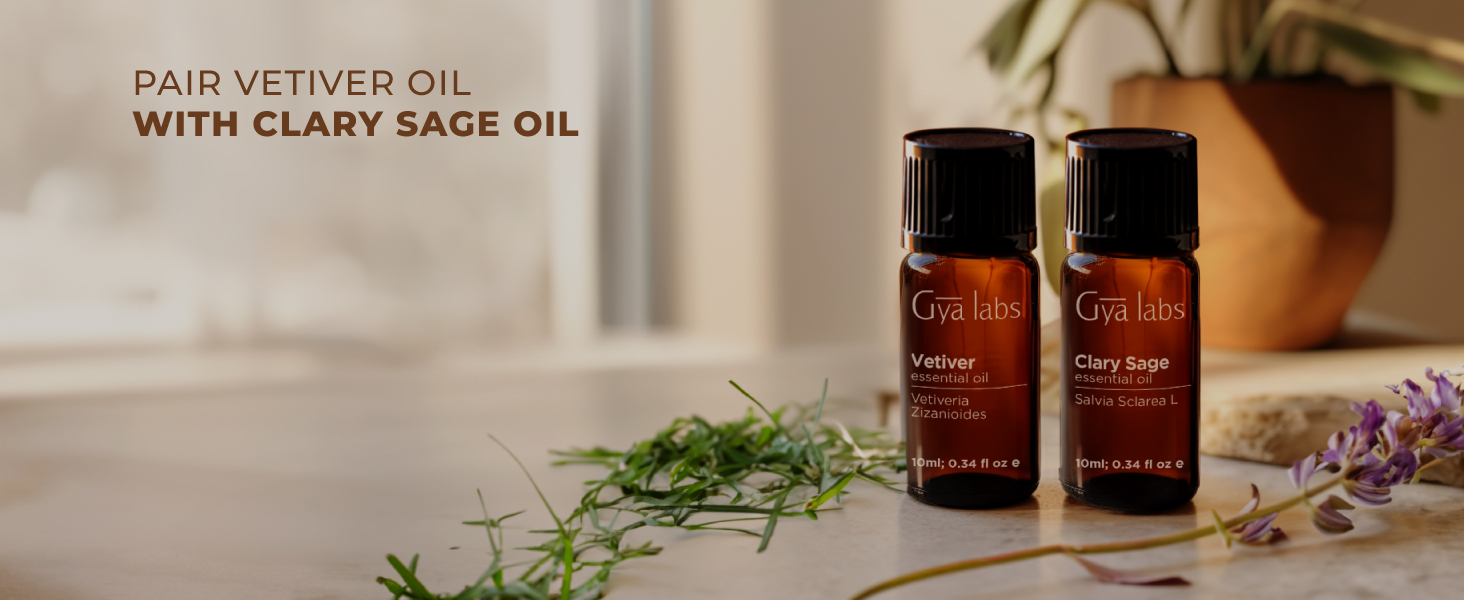 vivitar essential oil organic vetiver vetiver essential oil 4oz vetvier vetivier
