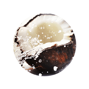 coconut water