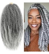 7 Packs Marley Twist Braiding Hair 12 Inch Marley Twist Hair Long T Gray Marley Hair for Faux Loc...