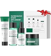 Skincare Mini Kit, Tea Tree Skin Care Sets & Kits, Acne Skincare Set Gifts, Anti Acne Facial Kit ...