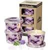 3-Pack Aromatherapy Candle Set - Travel-Size Lavender & Thyme Scented Candles 2.2oz Each | 10+ Hour Relaxing Long-Lasting Burn | Fragrant Soy Candles for Home, Gifts, Meditation & Christmas