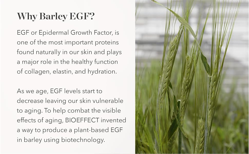 Why Barley EGF Epidermal Growth Factor Image