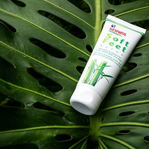 GEHWOL Soft Feet Scrub