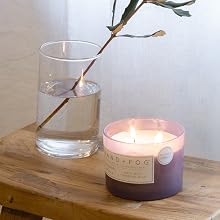Sand + Fog tahitian vanilla scented candle