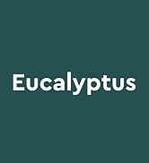 Kneipp - Eucalyptus