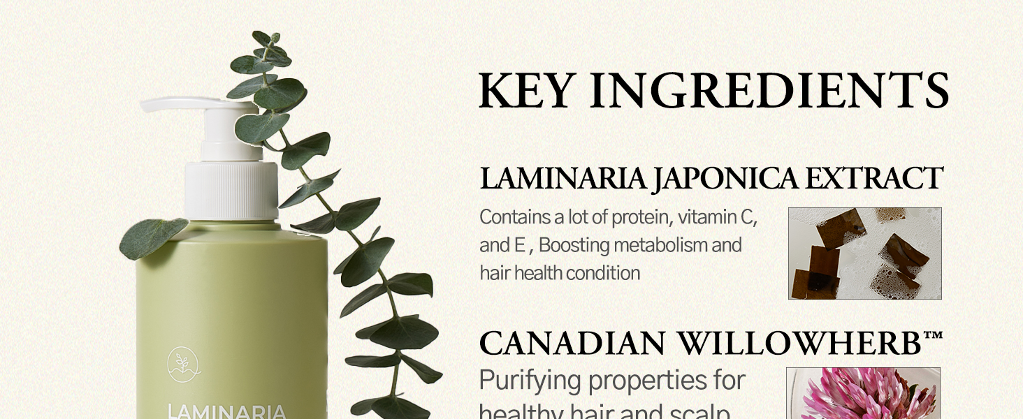 Key Ingredients