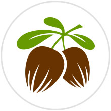 Shea Butter