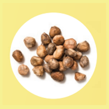 marula seed oil