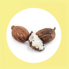 shea butter