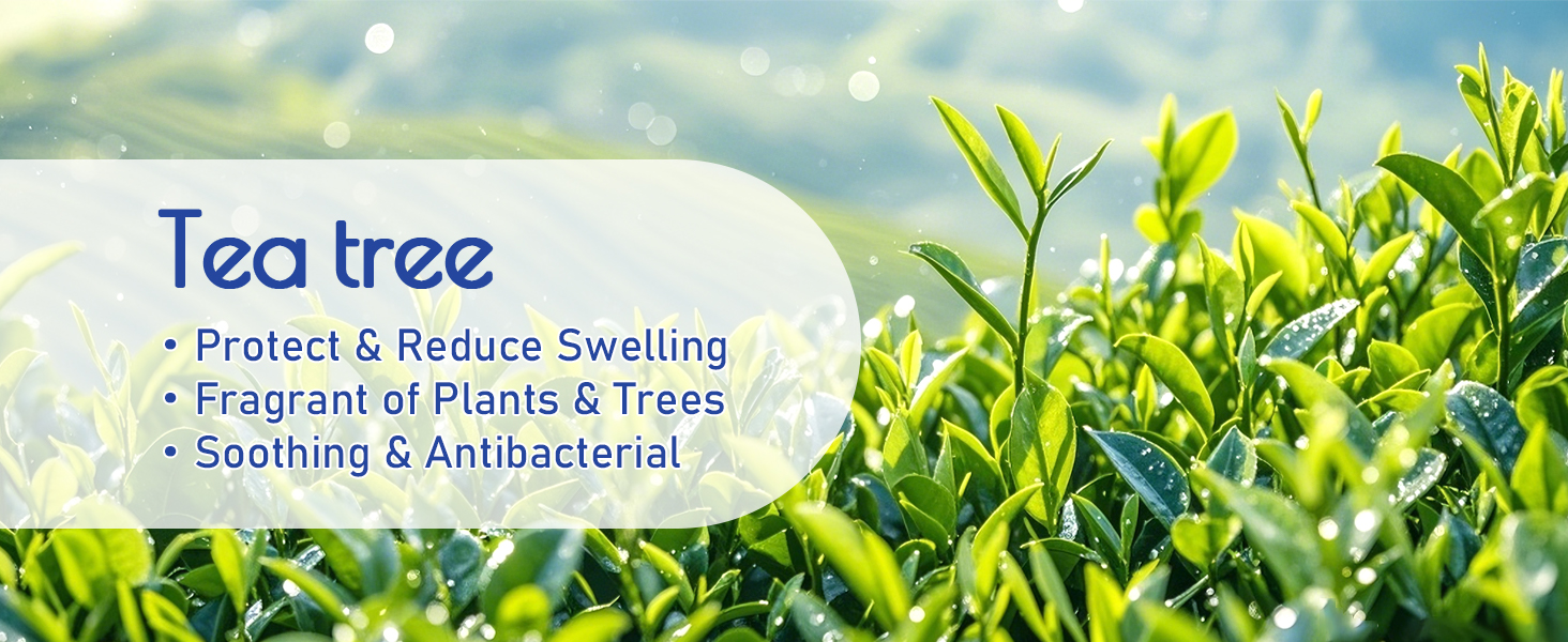 nuvadermis urea cream 60 percent for feet epoch sole solution foot cream urea 60% cream