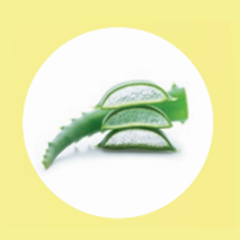 aloe