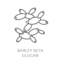 Barley Beta Glucan Icon Image
