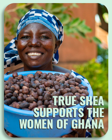 shea body butter your skin shea butter oil shea nut oil