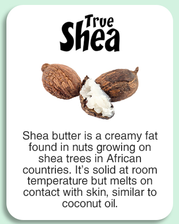 very moisturizing dry skin this body butter coconut body oil